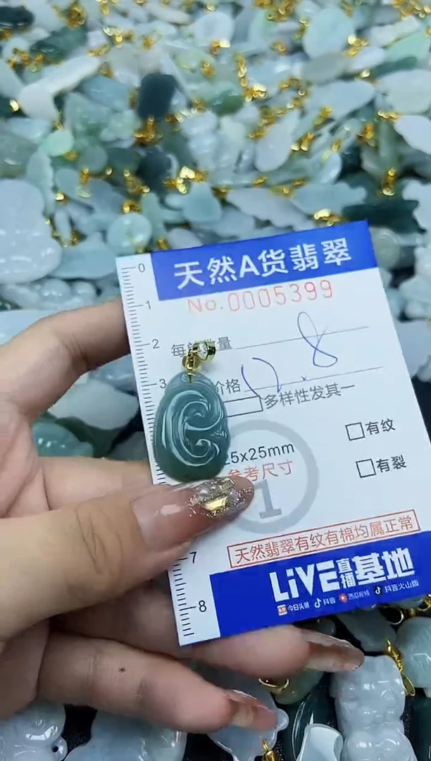 翡翠未镶嵌颈饰天然A货翡翠