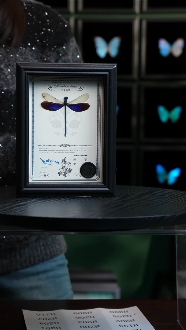 卡普色蟌7寸黑框