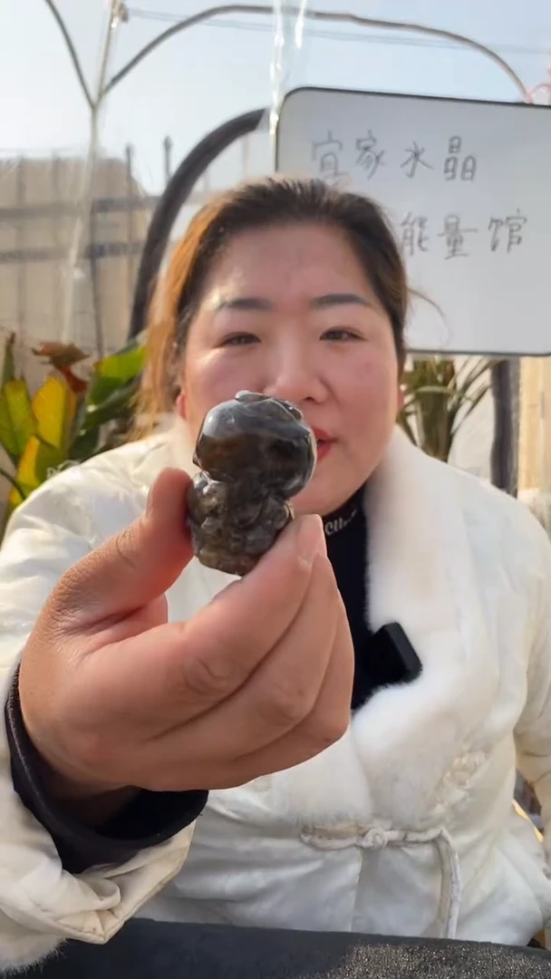 【闪购商品】水晶貔貅未镶嵌极光23貔貅DD365