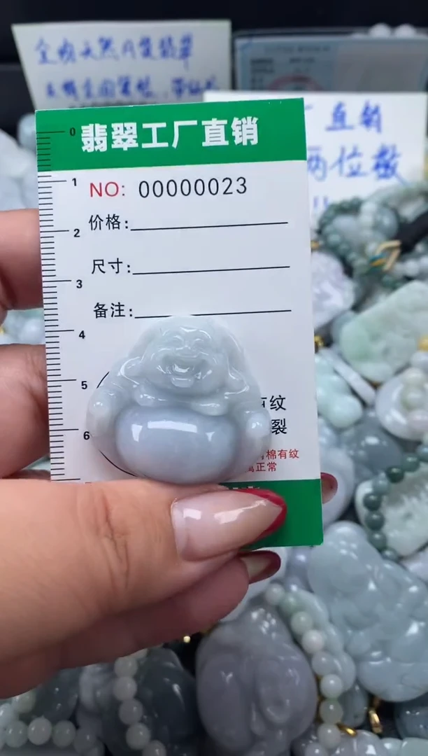 翡翠未镶嵌颈饰天然A货翡翠0023