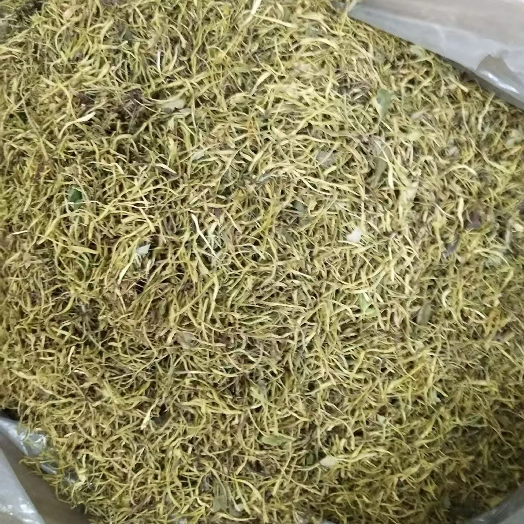 C福利款干金银花