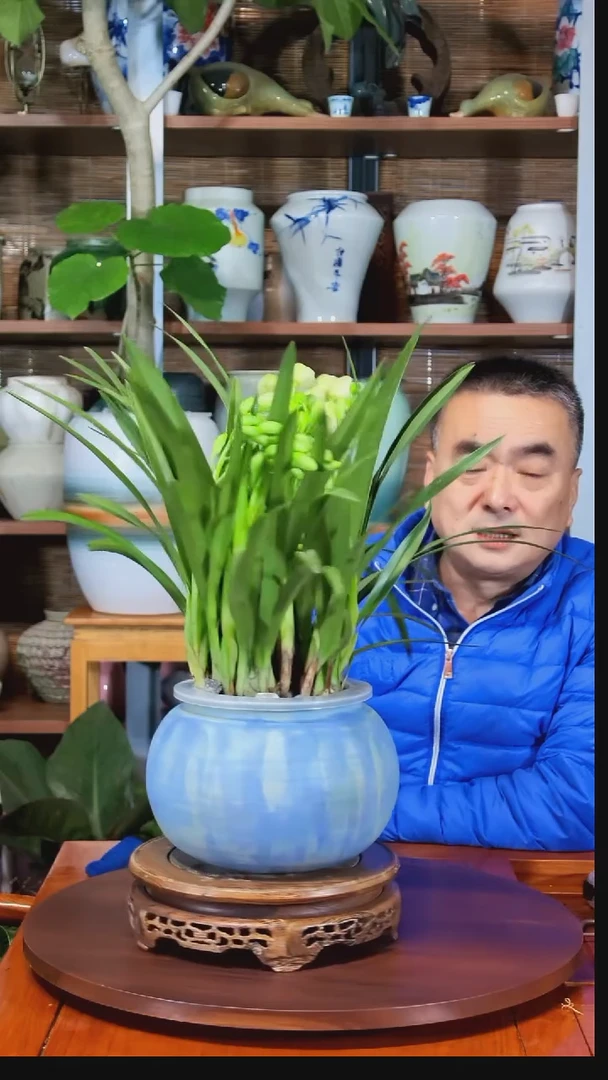 无花朵华*A水之韵水培香兰