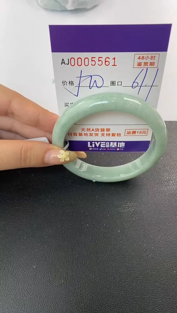 未镶嵌手镯翡翠天然A货翡翠