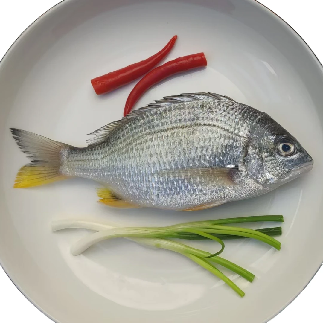 【小妹】广东湛江天然海鲜黄翅鱼 黄脚立 一斤2条 帮杀损耗15%-20%