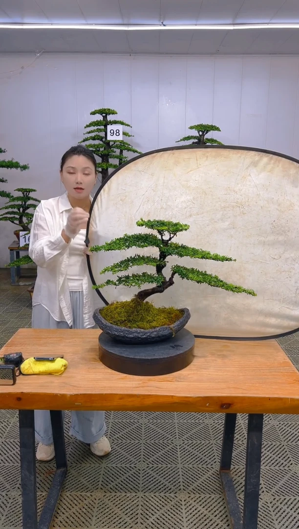 无花朵一物一拍一物一拍
