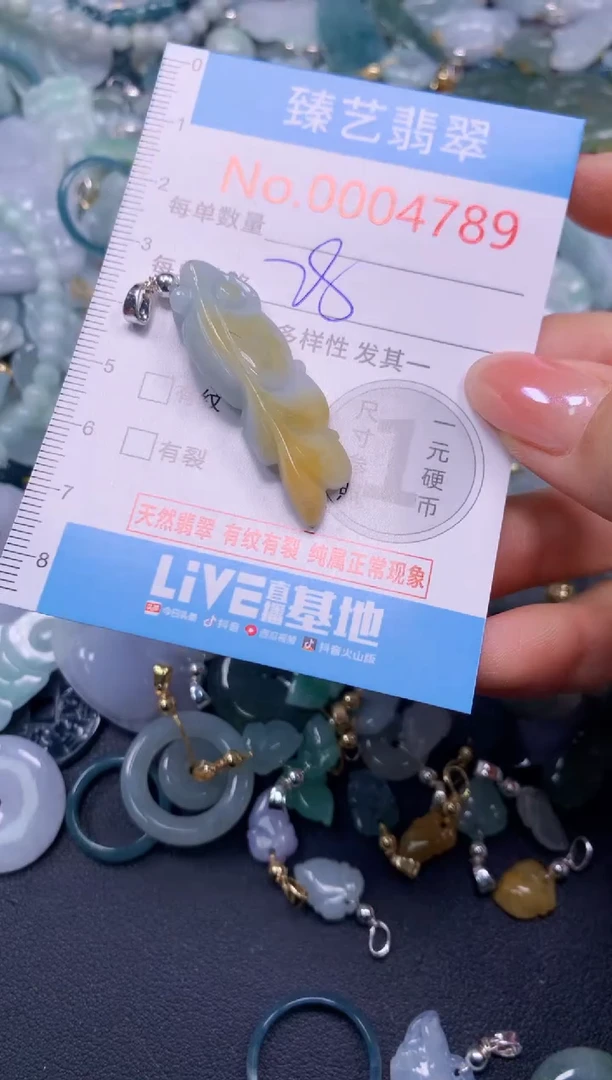 颈饰未镶嵌翡翠4789
