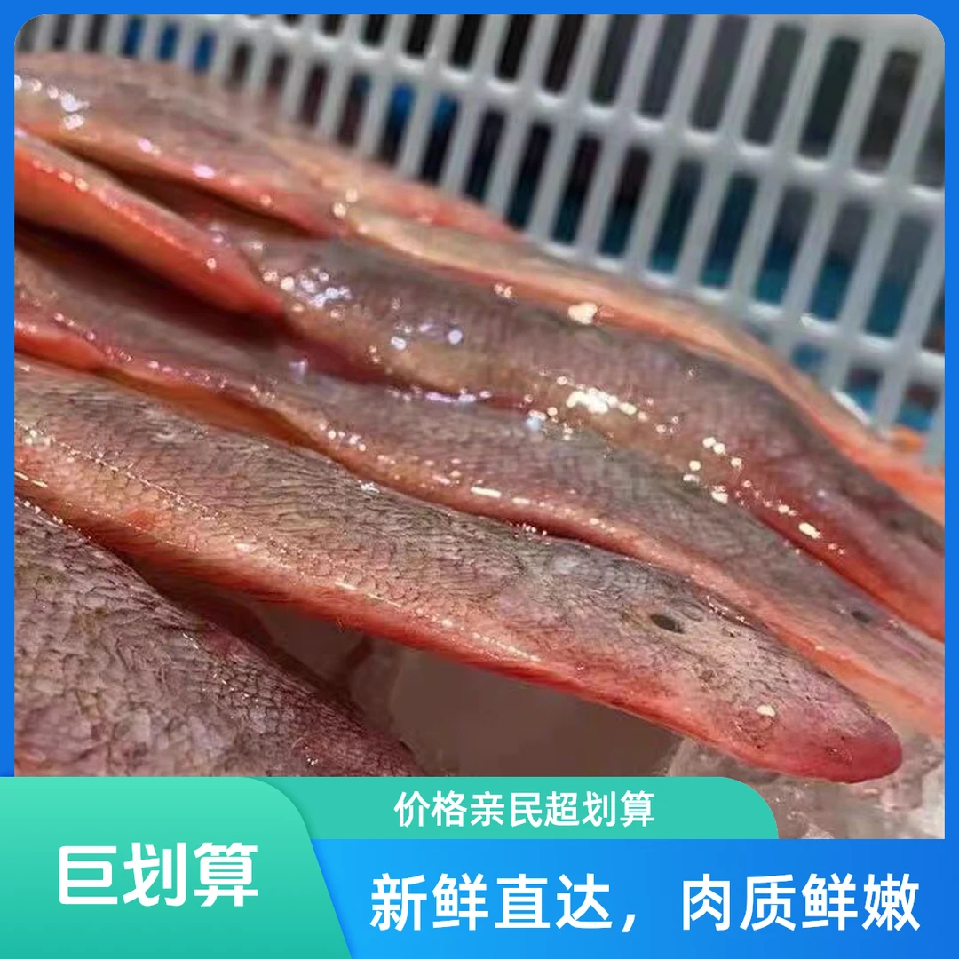 龙利鱼神泉码头现捕直发
