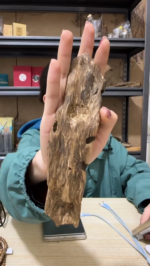 【闪购商品】沉香摆件15号棋楠虫漏块料62克+