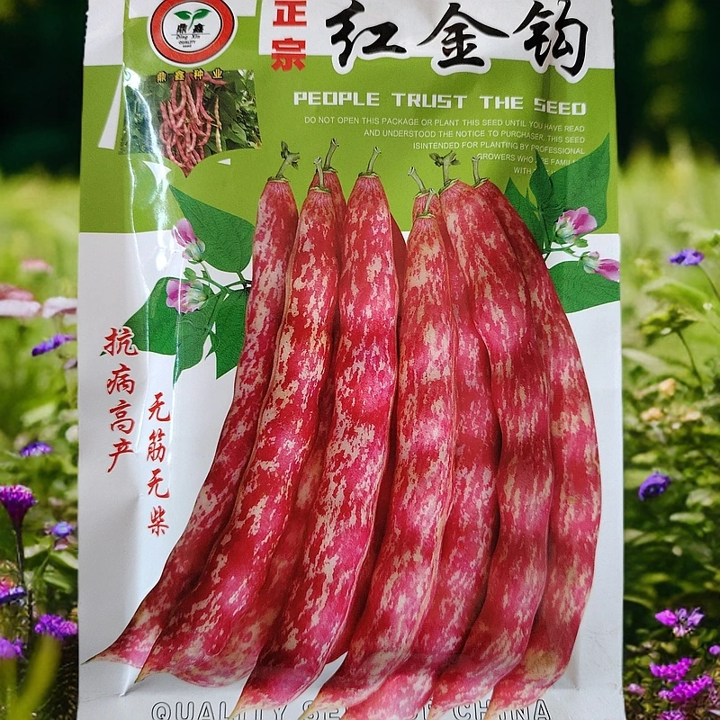 正宗红金钩豆角籽