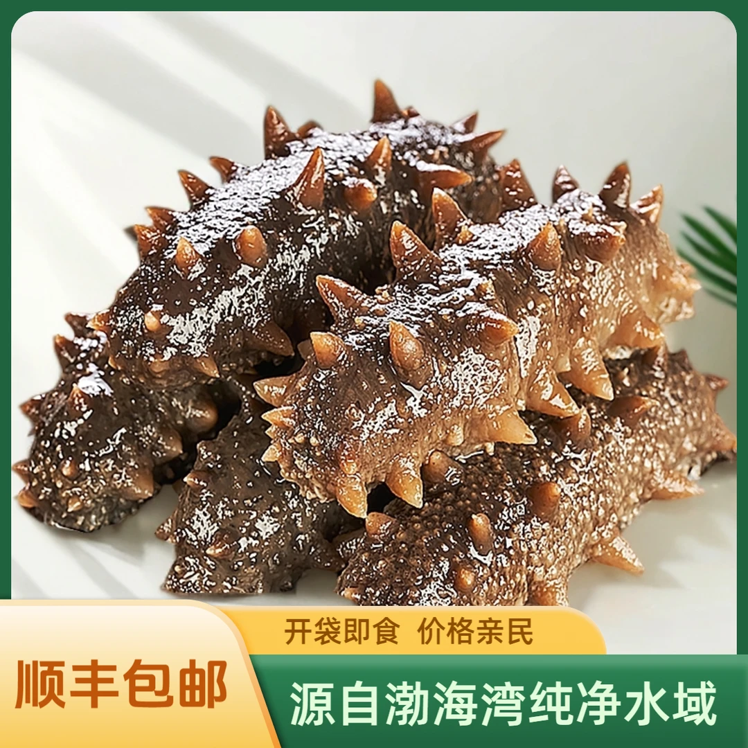 【1斤体验装】鲜食海参500g开袋即食海参8-10头顺丰包邮海参滋补宝