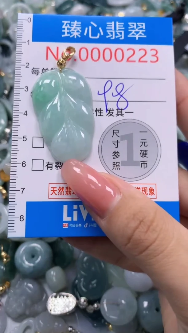 翡翠未镶嵌颈饰223