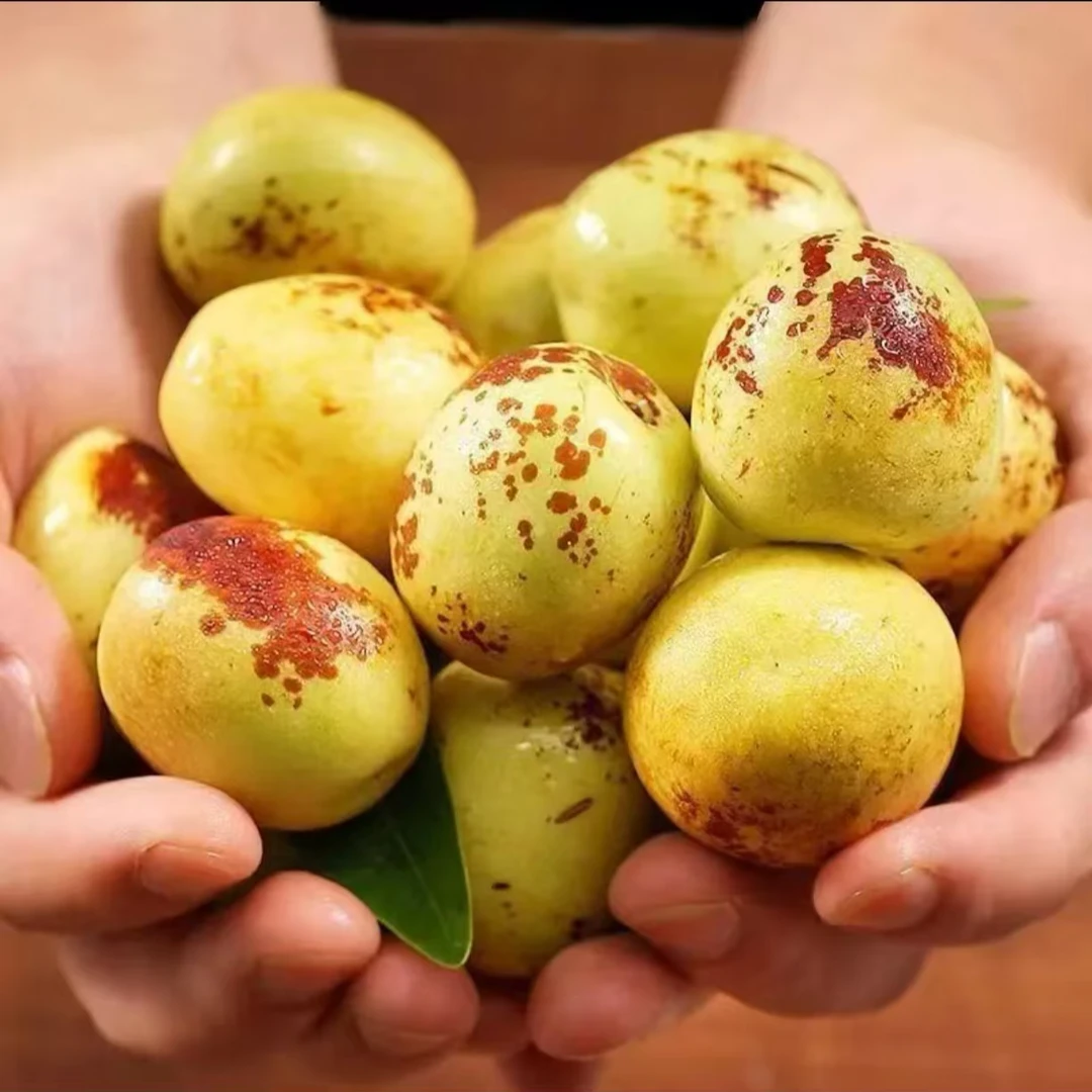 {汇鲜萃}正宗山东沾化冬枣脆甜多汁现摘现发