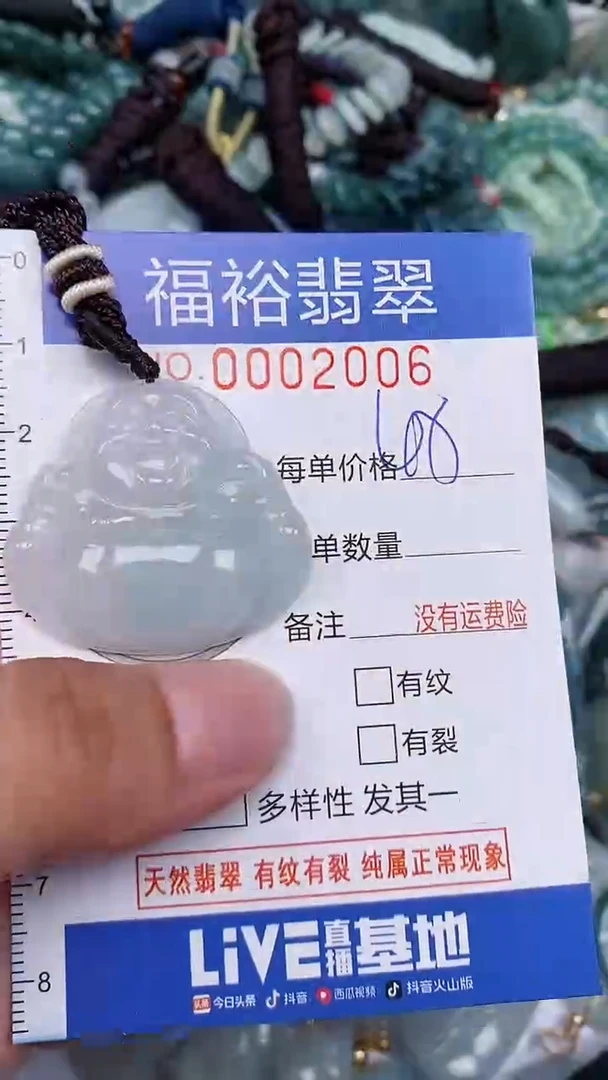 翡翠未镶嵌颈饰...0002006