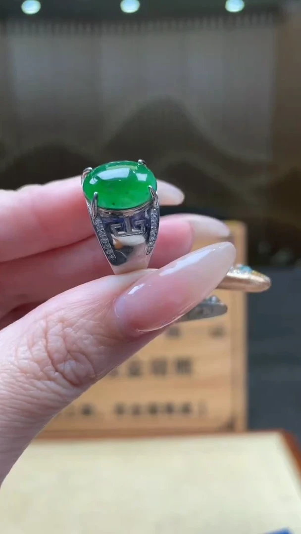 翡翠未镶嵌颈饰        *94