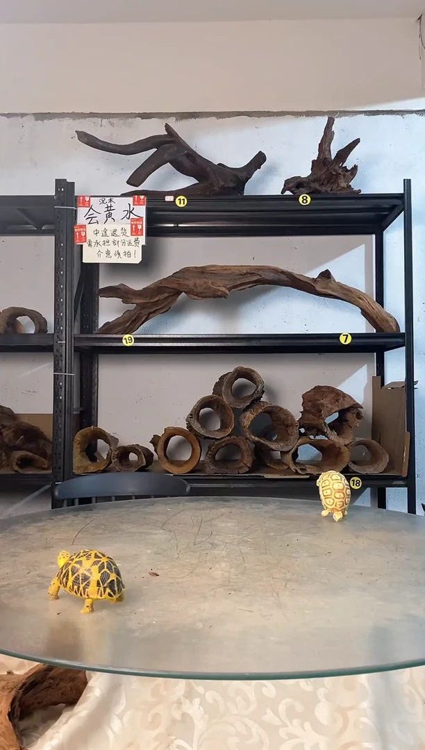 木*君鱼缸爬宠造景素材657