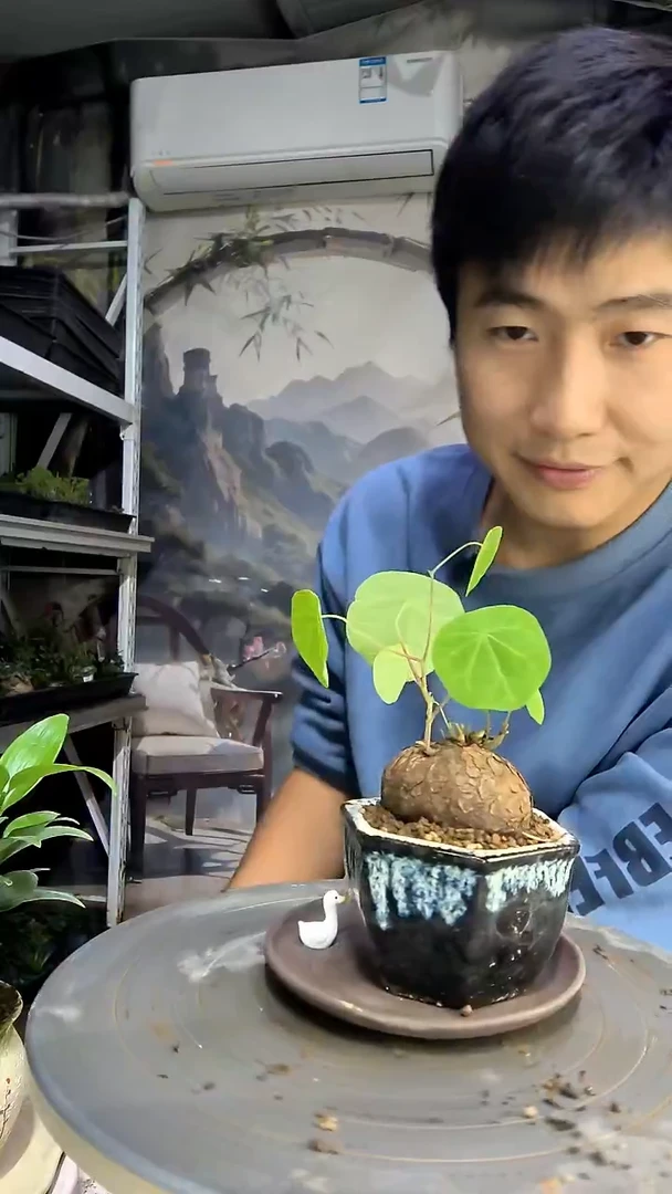 滨*中青园艺一物一拍34