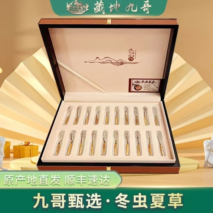 藏地九哥【干冬虫夏草20根】精致礼盒严选虫草泡酒自用品质甄选干草