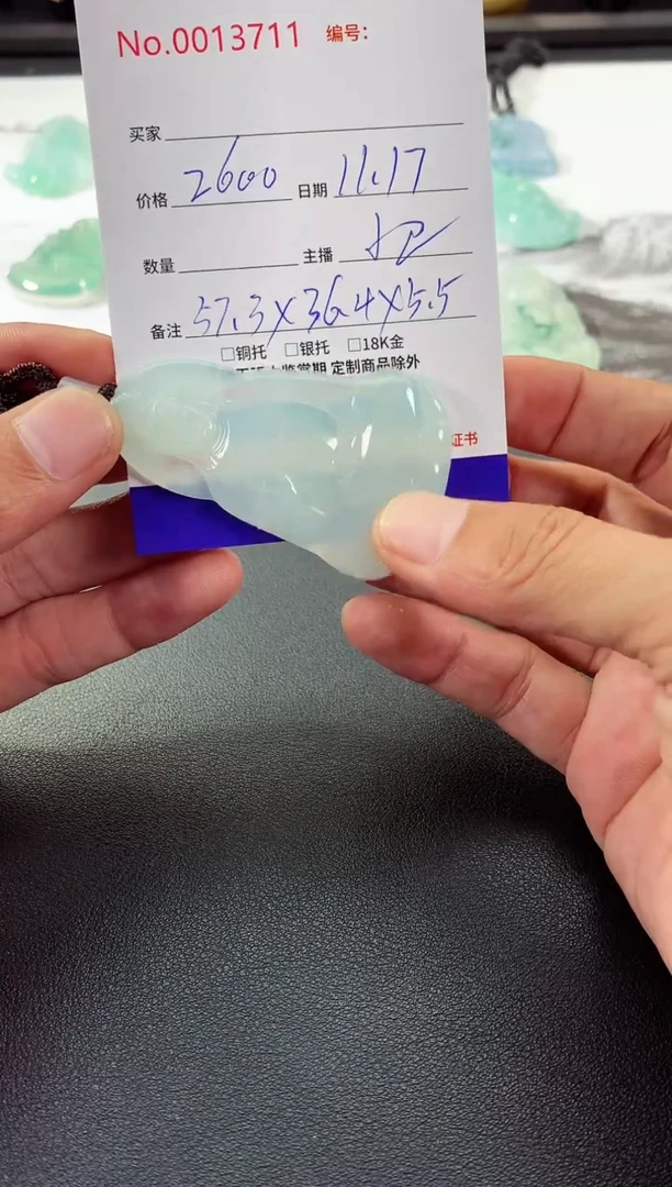 颈饰未镶嵌翡翠素衣