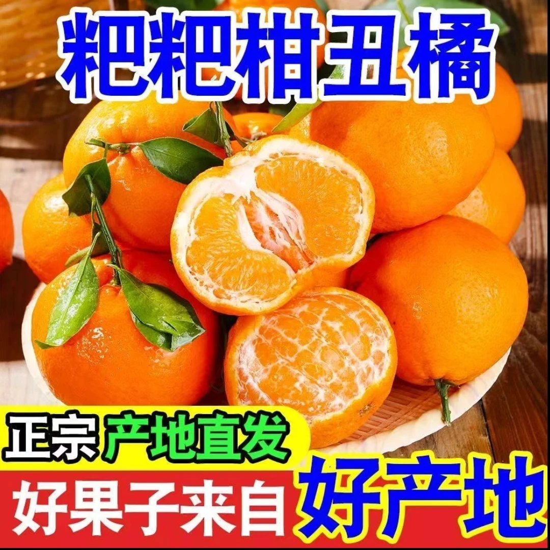 现采现摘四川耙耙柑新鲜当季水果甜多汁丑柑蜜橘四川省