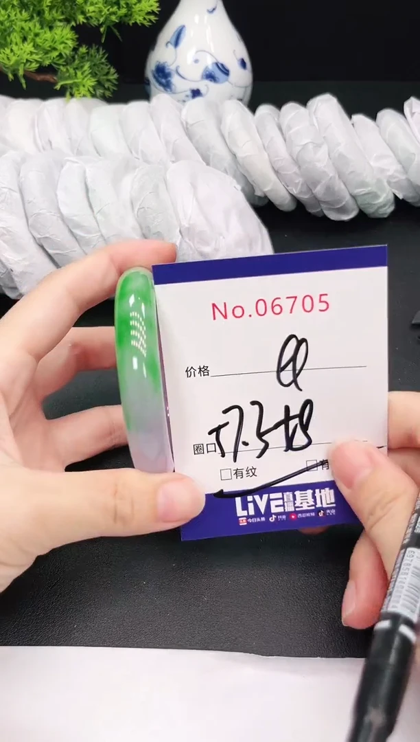 未镶嵌手镯翡翠6705