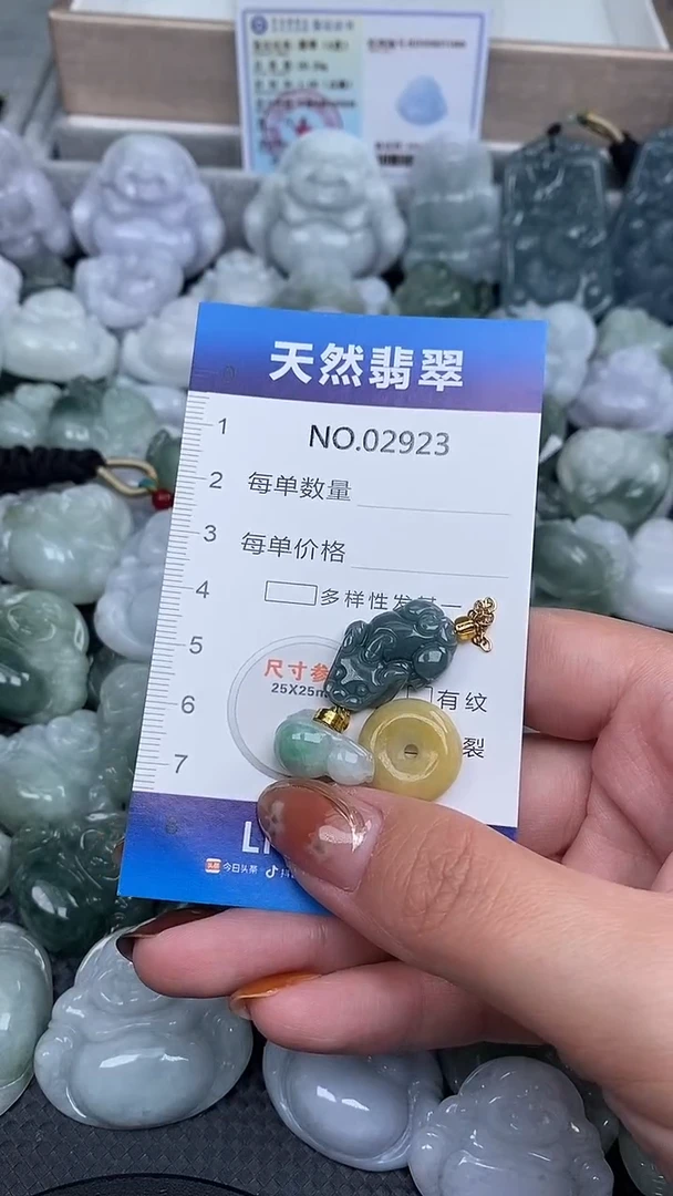 颈饰未镶嵌翡翠纯天然A货翡翠2923