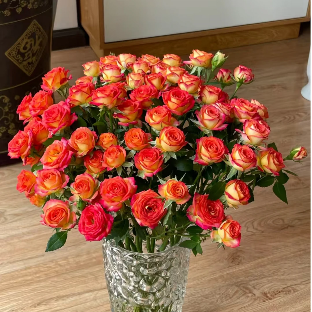 【采云鲜花】爱丽丝多头10枝云南昆明直发1单包邮2单升级冷链送配草