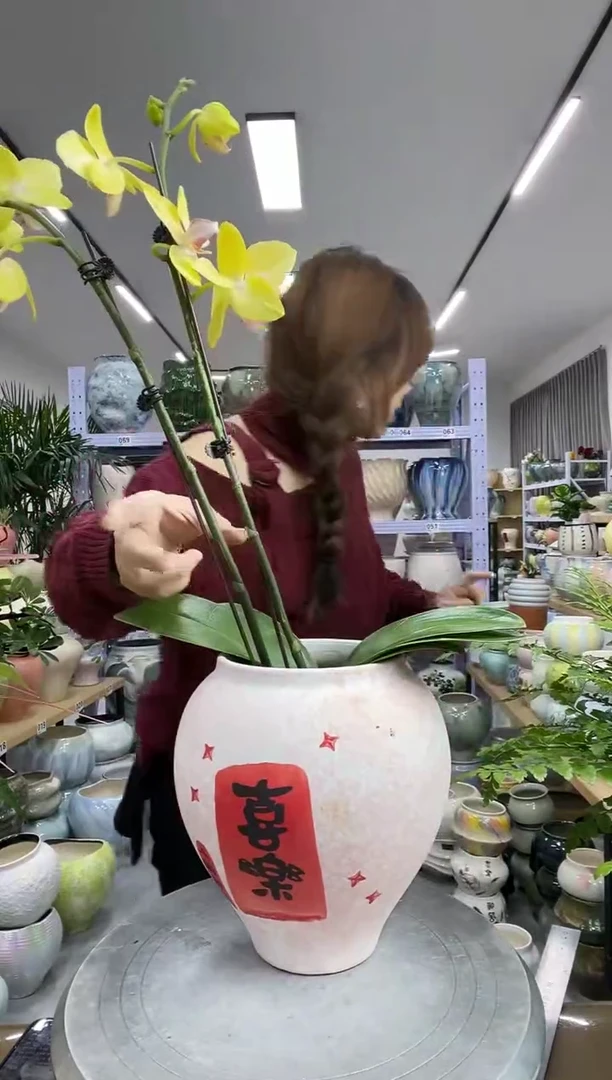 11.20陶瓷花盆直播链接高.  20    口12