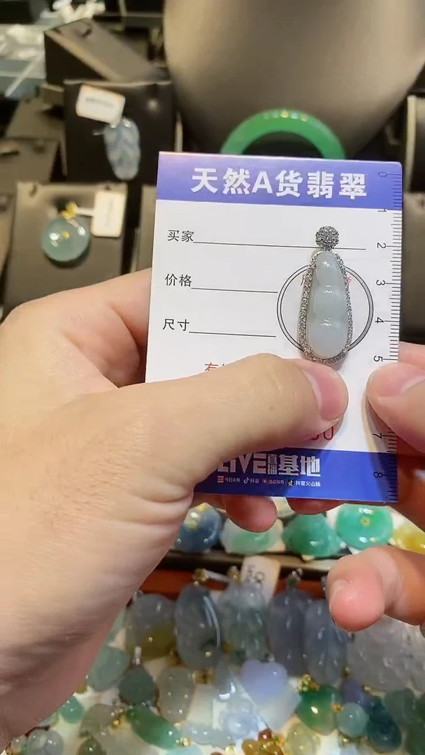 【闪购商品】翡翠颈饰未镶嵌天然A货翡翠一件