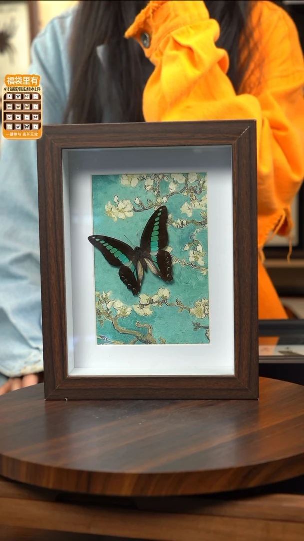 青凤蝶8寸复古框腊梅款