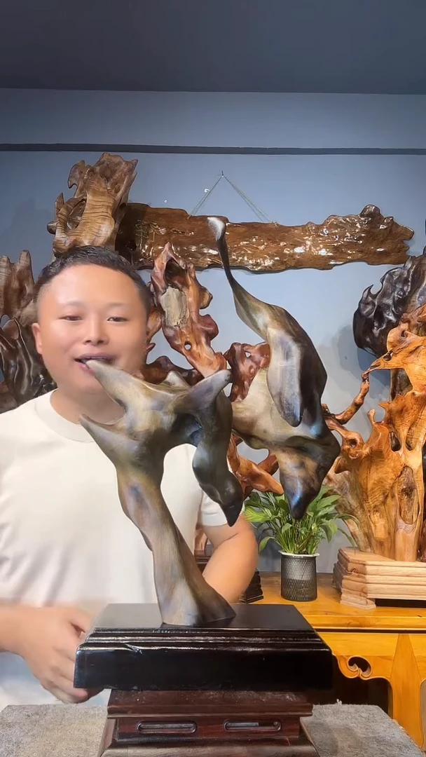 金丝楠君以直播间介绍为准