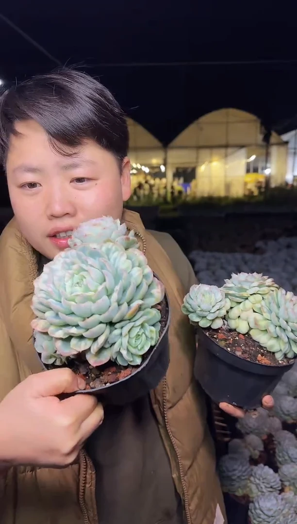 单头爆崽起泡泡纱裙14.88