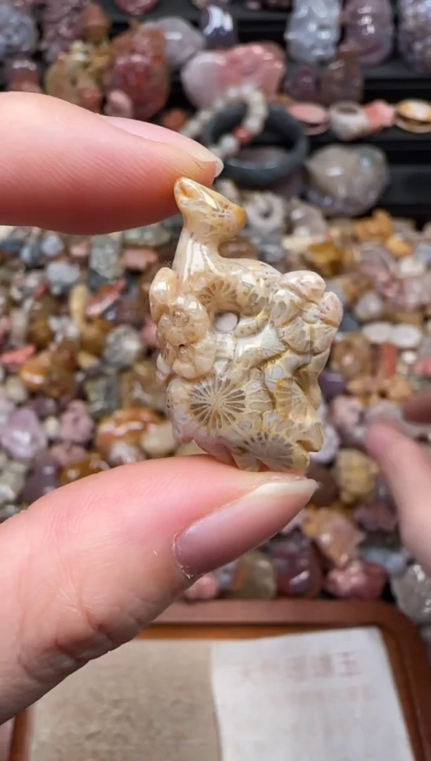 颈饰未镶嵌硅化珊瑚（珊瑚玉）014