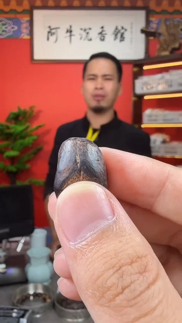 沉香吊坠 沉香吊坠海南沉水舍利子3克多样性发一