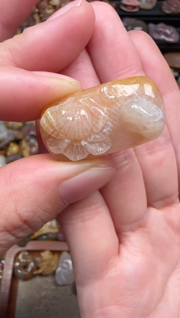 颈饰未镶嵌硅化珊瑚(珊瑚玉)632