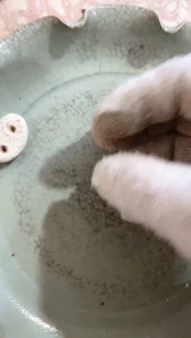 【闪购商品】瓷片瓷瓷瓷瓷瓷瓷瓷瓷瓷瓷瓷瓷瓷