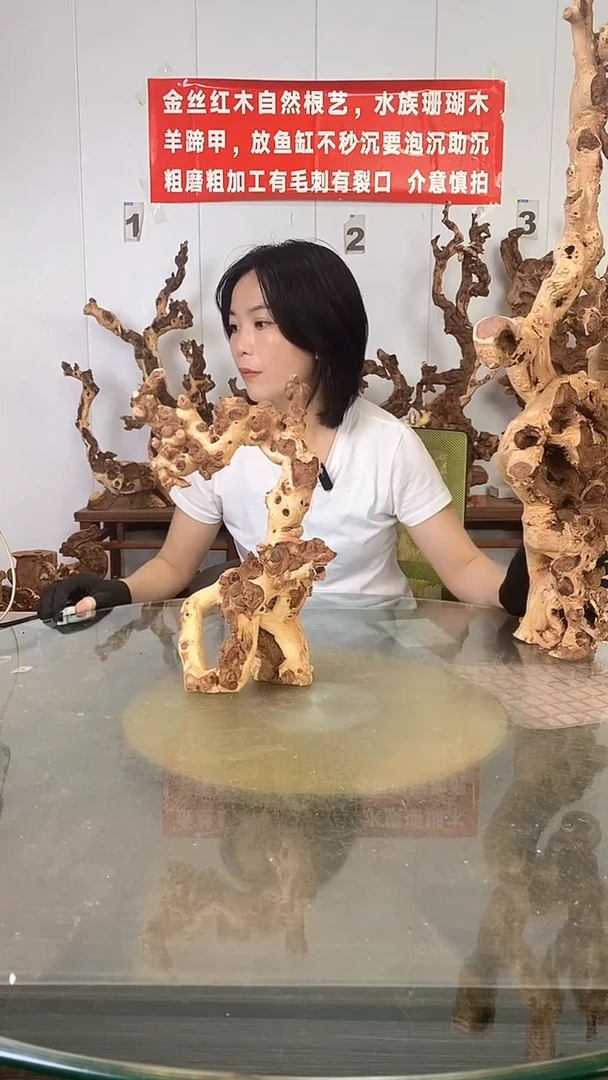 香榧木金丝红木 羊蹄甲