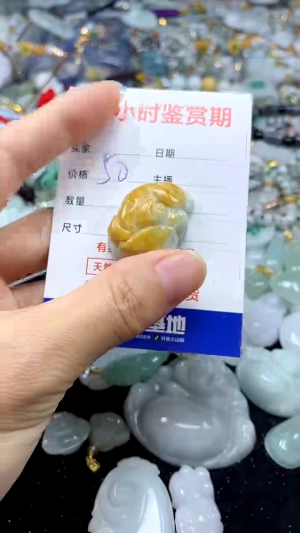 翡翠未镶嵌颈饰翡翠255