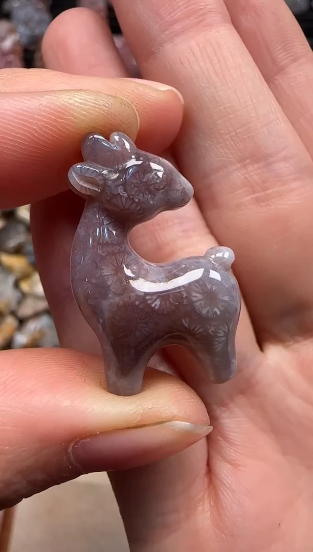 【闪购商品】硅化珊瑚（珊瑚玉）颈饰未镶嵌713