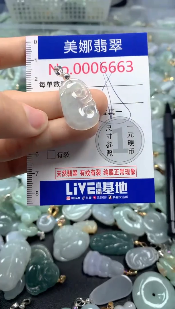 颈饰未镶嵌翡翠6663