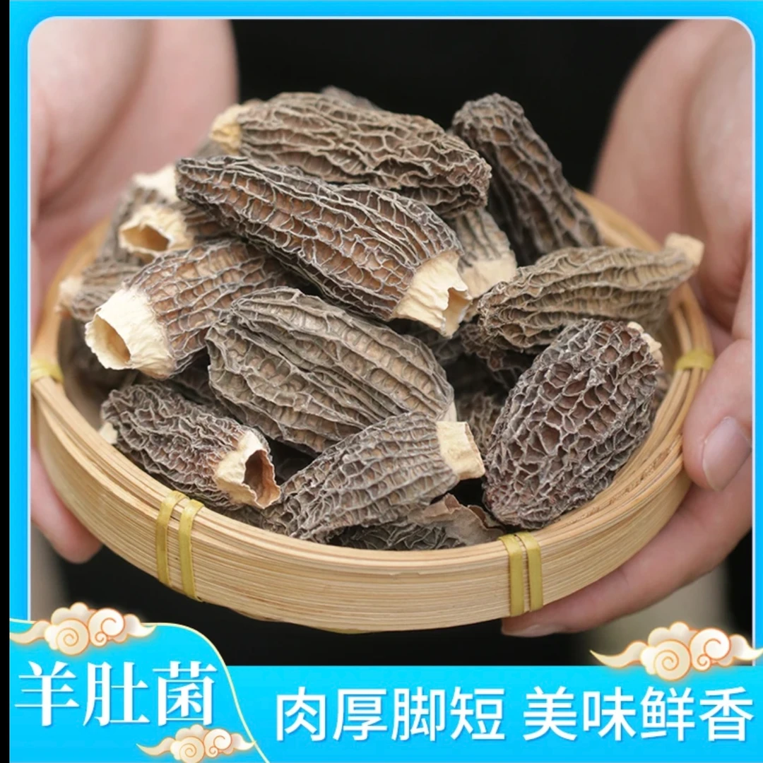 【云】云南土特产羊肚菌