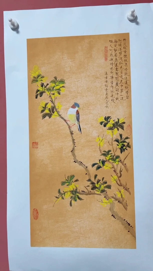 书法鸟  杨凌云 作品  888