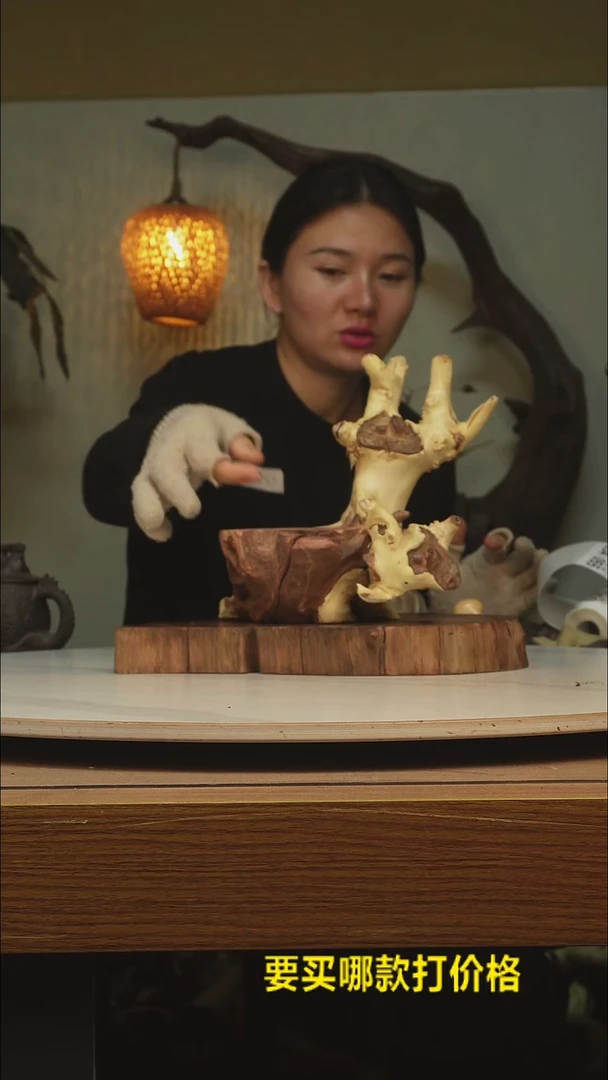 木渔*根雕摆件类053