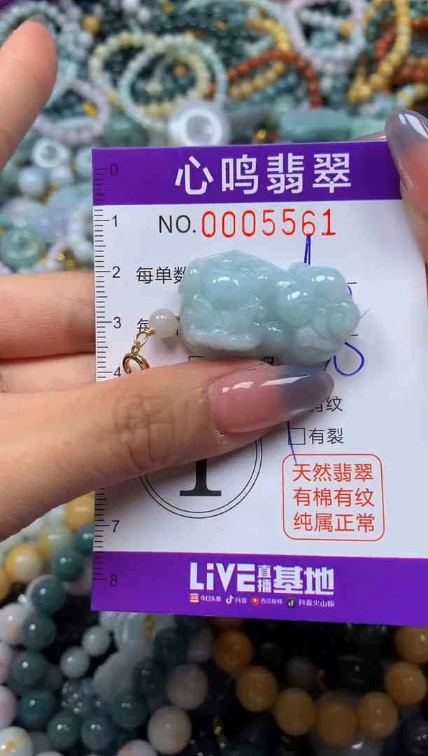 颈饰未镶嵌翡翠闪购005561