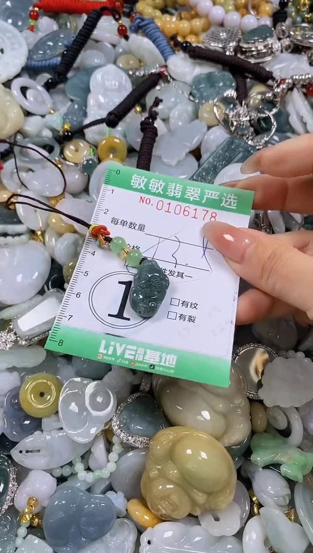 【闪购商品】翡翠颈饰未镶嵌闪购0106178多样性发其一