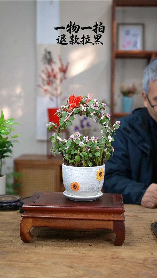 完全开放燕金枝玉叶013