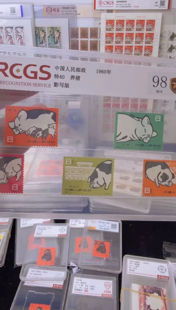 特40        养猪