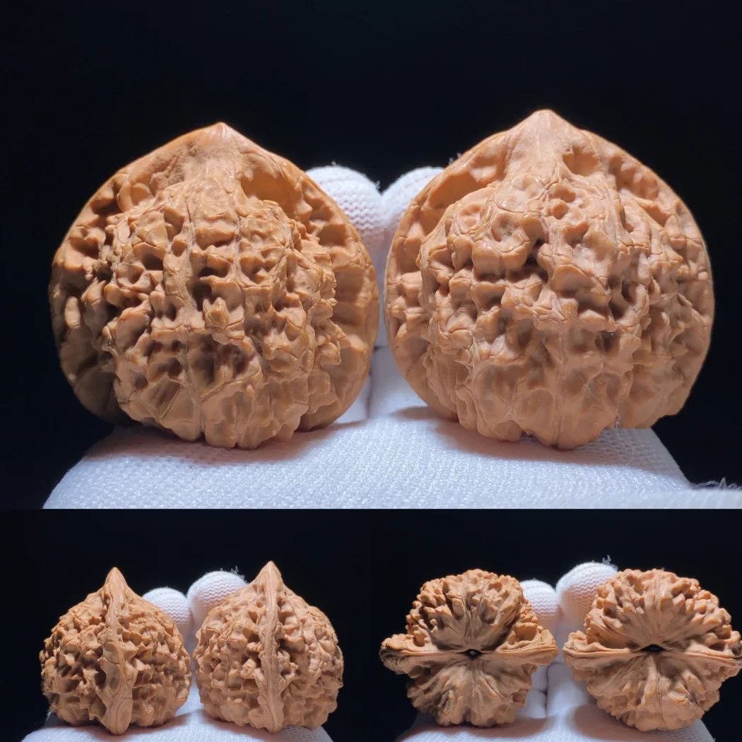 涞水麒麟纹官帽麻核桃文玩