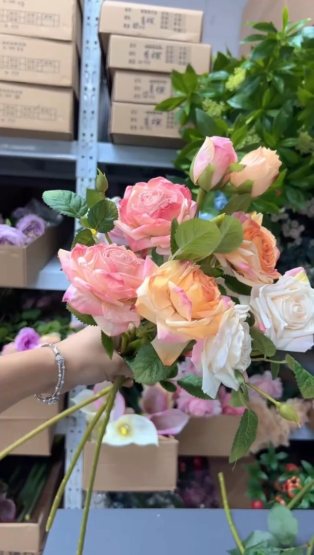 3枝混色焦边月季花