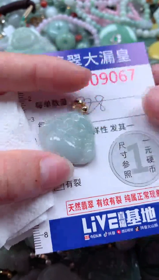 翡翠未镶嵌吊坠(不含链)9067