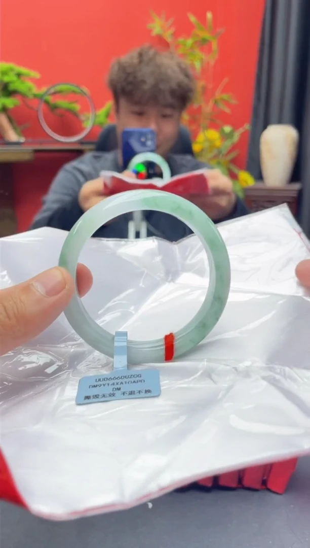 未镶嵌手镯翡翠3